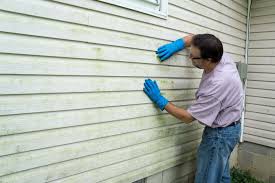 Best Stucco Siding  in Maxwell, CA